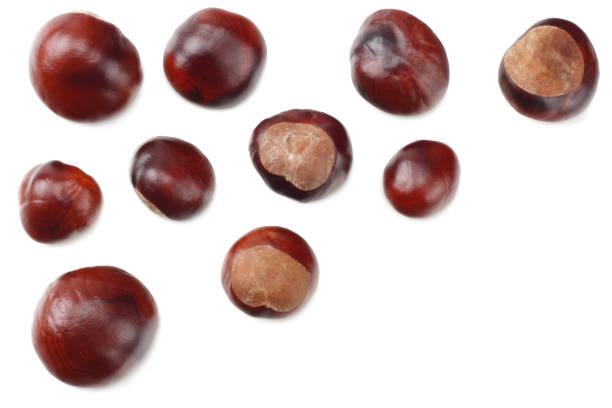 istock chestnuts isolated on white background. top view 1043447374