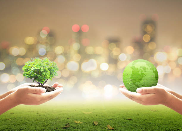 concepto de día mundial del medio ambiente - visión de sostenibilidad  fotografías e imágenes de stock