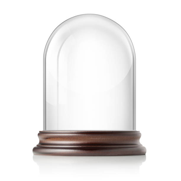 istock Glass bell jar on white background 1043453164