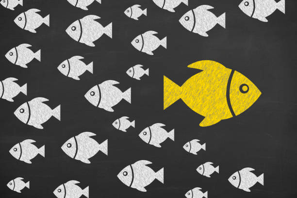 Going Your Own Way with Goldfish on Chalkboard