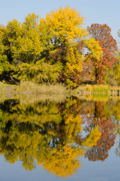 istock Autumn deciduous forest reflected in the river. Bright blue sky 1043468734