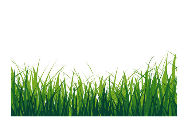 緑の芝生絶縁 - 草原点のイラスト素材／クリップアート素材／マンガ素材／アイコン素材
