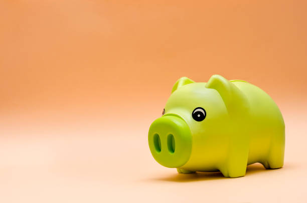 istock Green Piggy Bank 1043486186