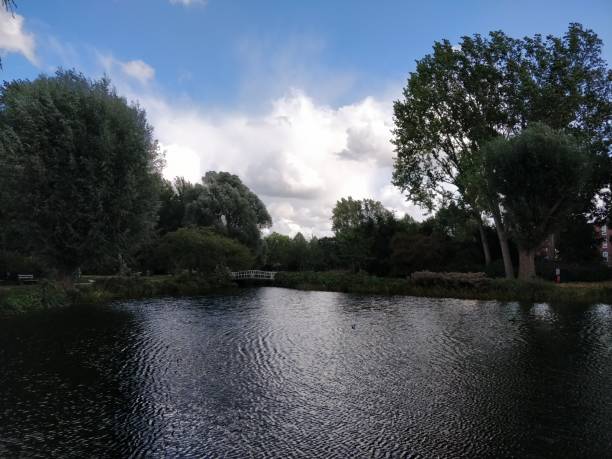 istock quiet park with large green trees and lake view 1043486696