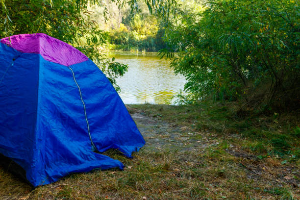 istock Blue camping tent in forest near a river 1043494040