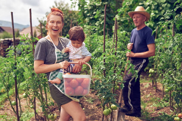 istock family in vegetable garden 1043496940