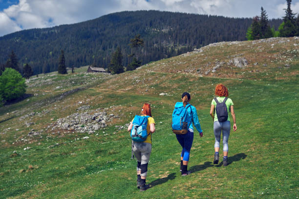 rear view of hiker friends on the mountain enjoying nature in spring day.