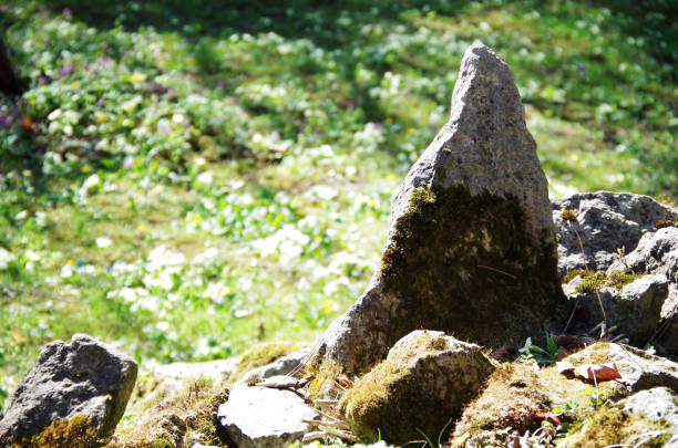 istock The Rock Of Nature 1043506482
