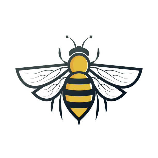 bee bee. eps 10 vector file flying bees stock illustrations