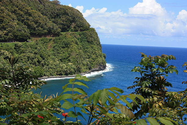 hana шоссе - hana maui sea scenics стоковые фото и изображения