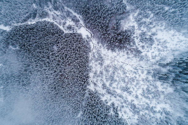 istock Aerial Flight Trees at Morning Peaks 1043523442