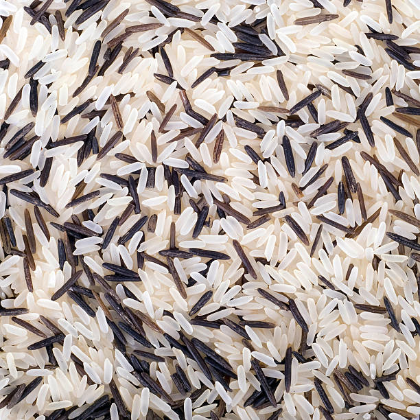 raw rice  2667 stock pictures, royalty-free photos & images