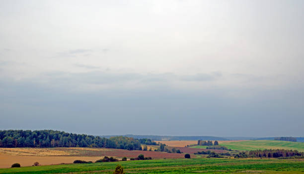 istock The Belarusian landscape. Autumn fields, forests, bushes, meadows, trees, hills 1043529224