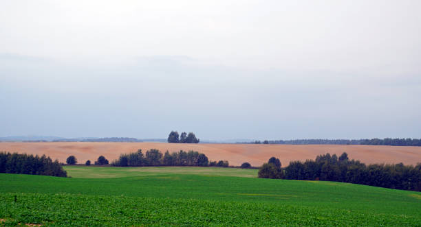 istock The Belarusian landscape. Autumn fields, forests, bushes, meadows, trees, hills 1043532566
