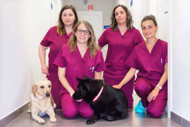 istock Cheerful woman veterinary team with her pets 1043546152
