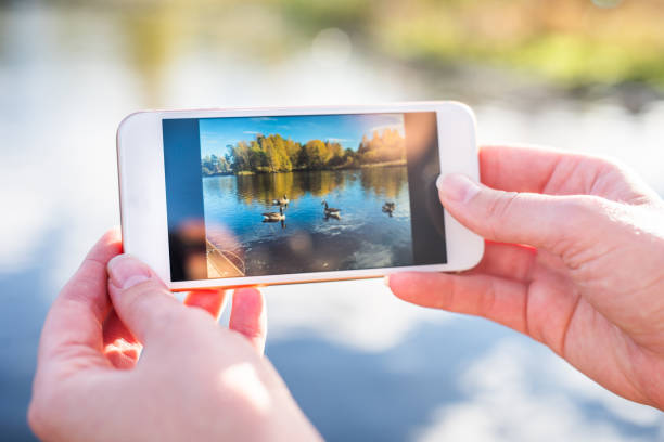 Close up of woman taking picture of ducks in the lake.