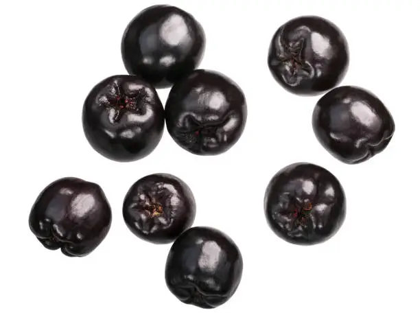 Black chokeberries (Aronia melanocarpa fruits), top view