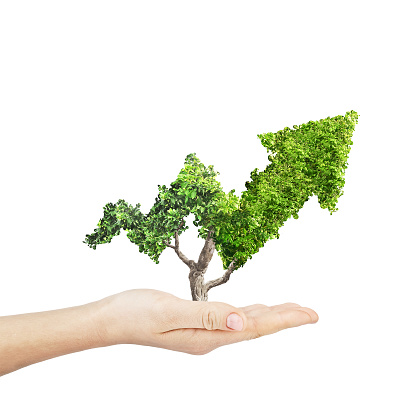 Green plant grows up in arrow shape in hand over white background. Concept business image