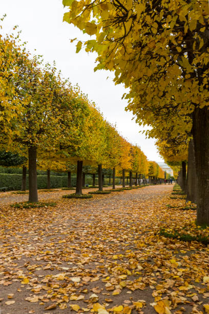 istock St. Petersburg 1043558320