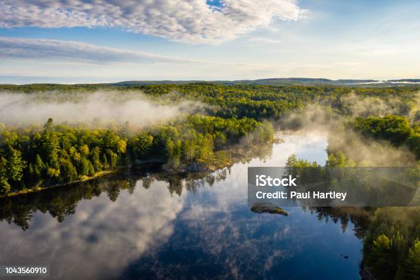Sunrise And Fog Over Lake And Forest Stock Photo - Download Image Now - Canada, Ontario - Canada, Nature