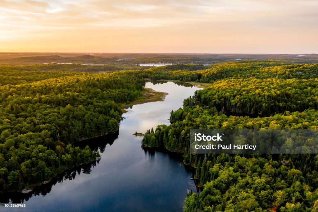 Sunrise on a lake Lake in warm morning light from an aerial view Forest Stock Photo