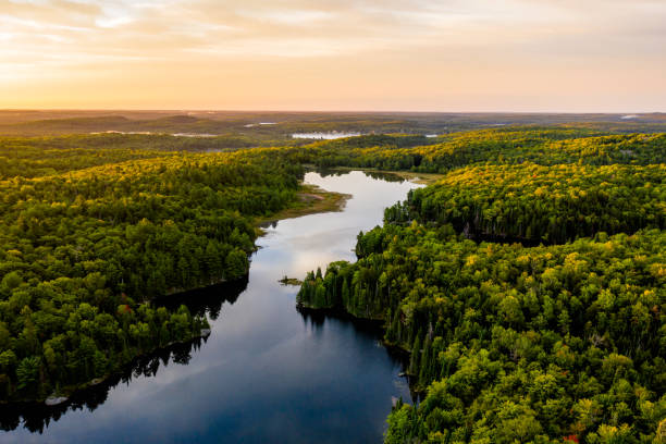 Sunrise on a lake Lake in warm morning light from an aerial view ontario canada stock pictures, royalty-free photos & images