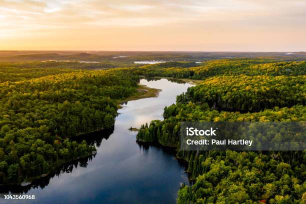 Sunrise On A Lake Stock Photo - Download Image Now - Forest, Nature, River