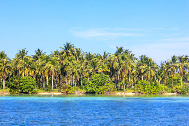 istock Exotic island paradise 1043561640