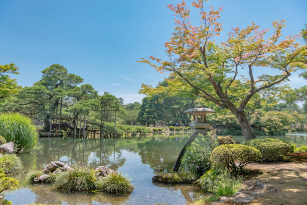 paysage d’été de jardin kenrokuen - japanese culture landscape landscaped ornamental garden photos et images de collection