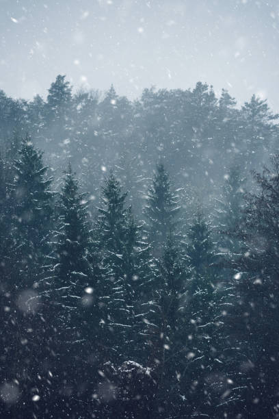 istock Foggy winter morning 1043565384