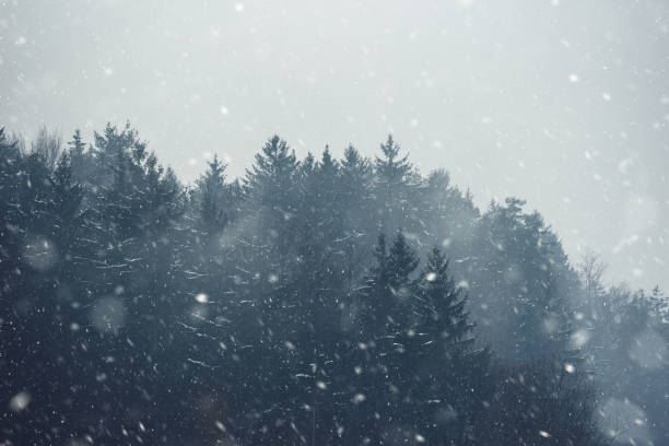 istock Foggy winter morning 1043573302