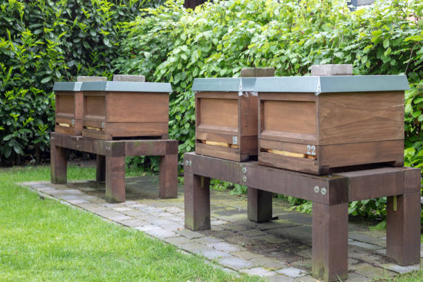 4 hohenheim single hives stand in a garden