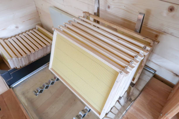 The beekeeper has new frames for honeycomb cultivation ready for the beehive