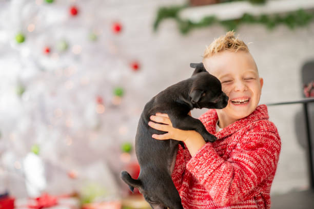istock Lifting Puppy 1043580364