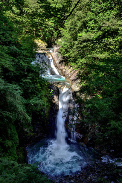 istock Nisizawakeikoku 1043581936