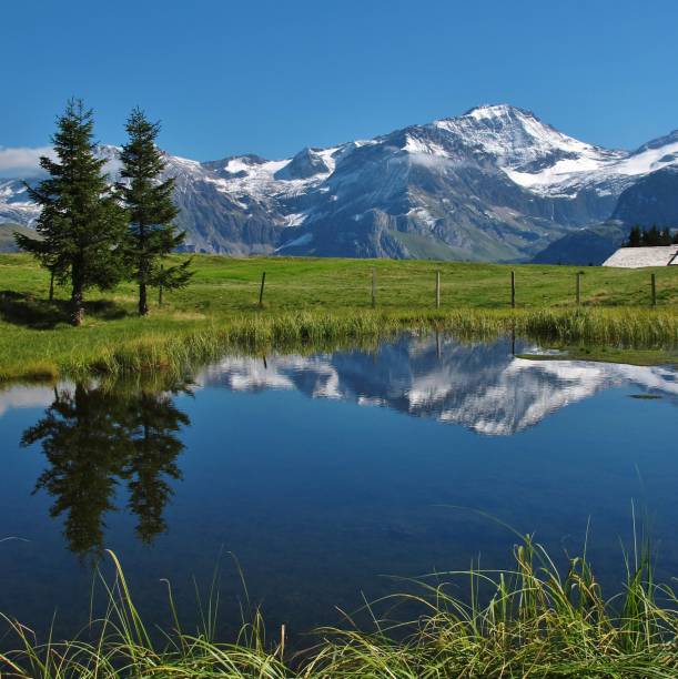 monte wildhorn reflejo en un estanque, hohi wispile. - wildhorn fotografías e imágenes de stock