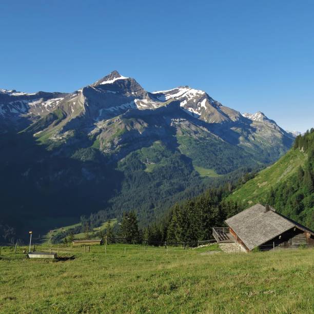 istock Mount Oldenhorn in summer. 1043584930