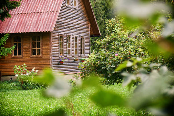 Suburban wooden house with a red roof in the green garden at russian countryside in summer stock photo