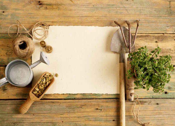 A blank page and gardening equipment on wood