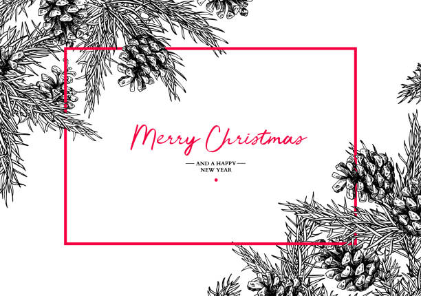 Christmas holiday greeting card with fir tree and pine cone. Vector hand drawn botanical illustration . Engraved xmas square poster or banner