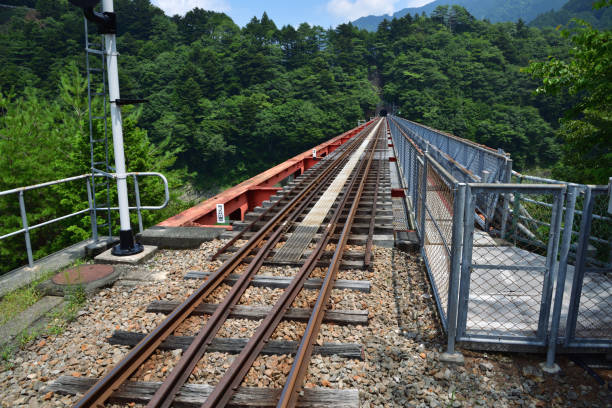 istock Shizuoka,Japan,Oi railway 1043593300