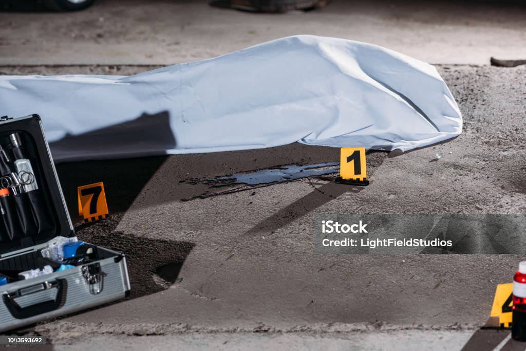 close up view of corpse in body bag and case with investigation tools at crime scene Body Bag Stock Photo