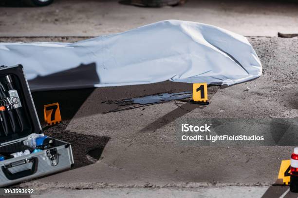 Close Up View Of Corpse In Body Bag And Case With Investigation Tools At Crime Scene Stock Photo - Download Image Now