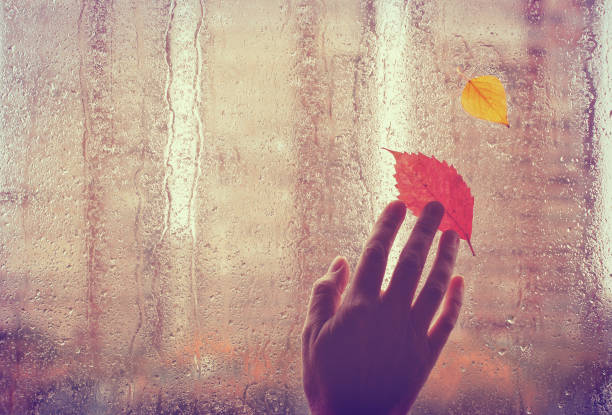 Photo of sad autumn background, old hand touches wet window