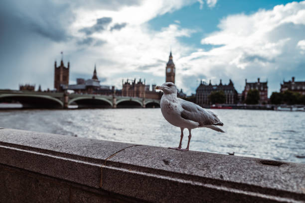 London, UK - September 16, 2022: A low angle closeup view of Big Ben, also known as the Elizabeth Tower, in Westminster, London, UK.