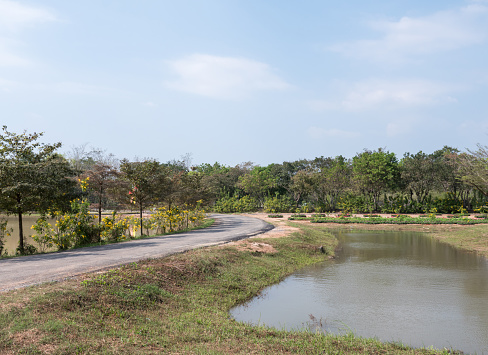 Curve asphalt road along the small pond to the countryside farm in Thailand.