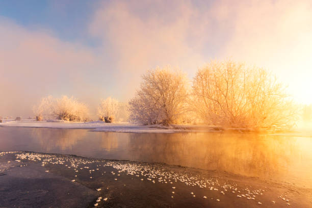istock Frosty trees on a clear winter day 1043601076