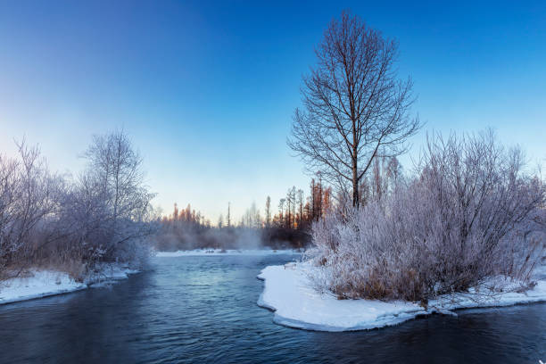 istock Frosty trees on a clear winter day 1043601234
