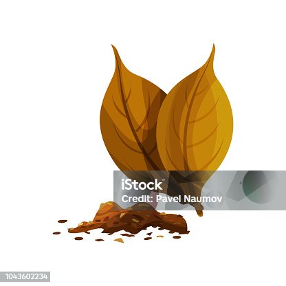 833 Cartoon Of A Tobacco Leaf Illustrations & Clip Art - iStock