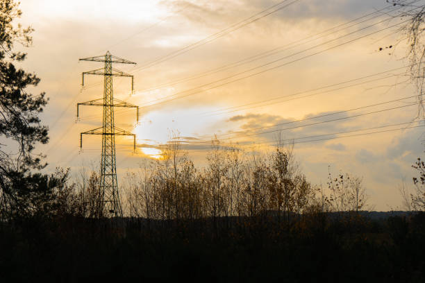 istock Electric Powerlines over Nature 1043610004
